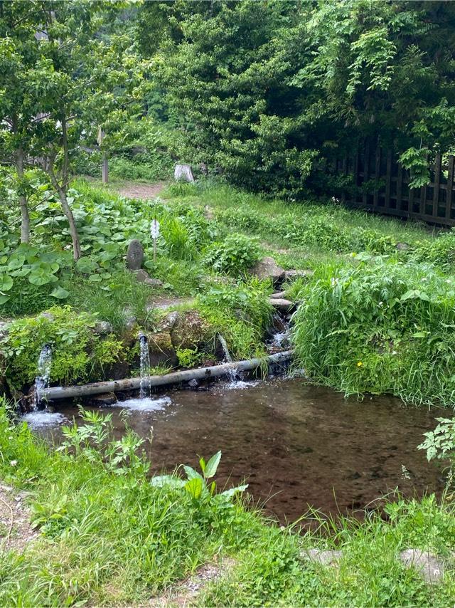 水神(諏訪大社 前宮)の参拝記録6