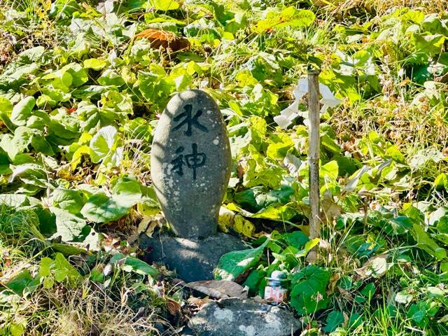 水神(諏訪大社 前宮)の参拝記録2