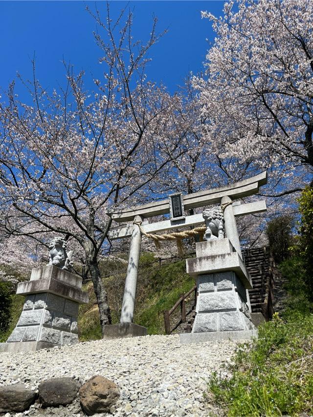 愛宕神社の参拝記録1