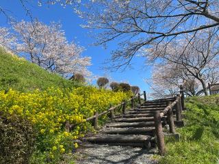 愛宕神社の参拝記録(ユータさん)