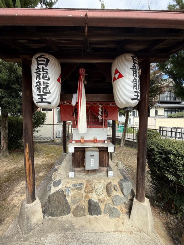 京都府京都市伏見区淀新町 白龍龍王の写真2