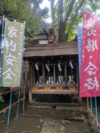 雪ヶ谷八幡神社末社薬神社の参拝記録(はくすみさん)