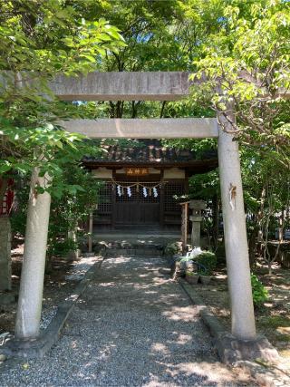 山神社（市原稲荷神社境内）の参拝記録(恭子さん)