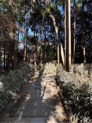 水神社(建部大社境内社)の参拝記録(⛩️🎠🐢まめ🐢🎠⛩️さん)