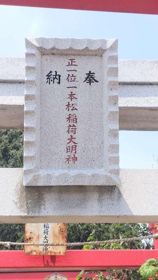 一本松稲荷神社の参拝記録(ステイさん)