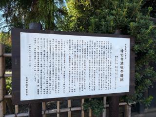 大和神社の参拝記録(レモンサワーさん)