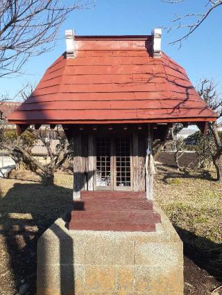 金田西の並木稲荷大明神の参拝記録(三毛猫さん)