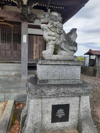 金比羅社　日枝神社境内の参拝記録(三毛猫さん)