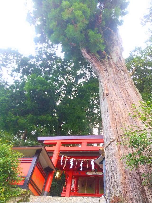 奈良県奈良市水間町448 八幡神社 (奈良市水間町)の写真1