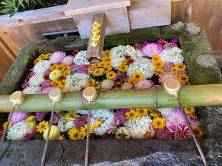 沼神社の参拝記録(恭子さん)