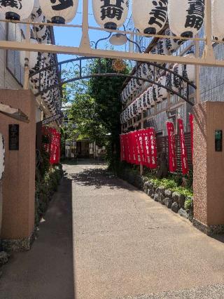 龍光山三高寺正宝院（飛不動尊）の参拝記録(はくすみさん)