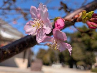 風神社(天満社境内)の参拝記録(恭子さん)