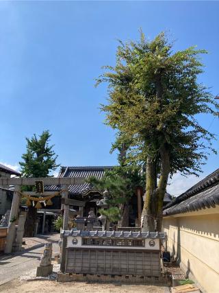 えん乃木（飛鳥神社境内）の参拝記録(恭子さん)