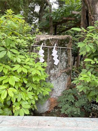 祖神 天照皇大神(阿智神社 境内社)の参拝記録(ねこチャリさん)