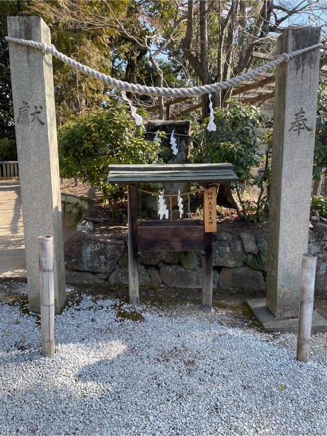 祖神 天照皇大神(阿智神社 境内社)の参拝記録1