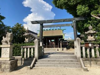 蛭子社（鳥出神社境内）の参拝記録(恭子さん)