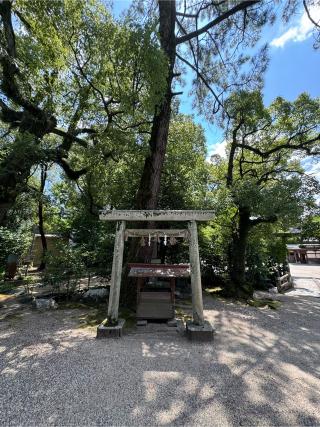 山津見神社（諏訪神社境内）の参拝記録(こーちんさん)