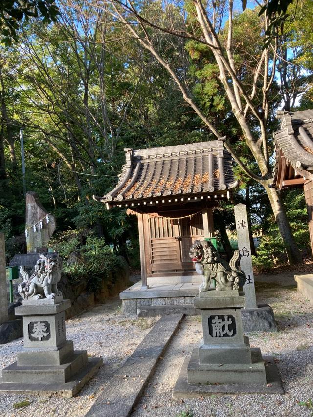 津島社(市杵島姫社境内)の参拝記録3