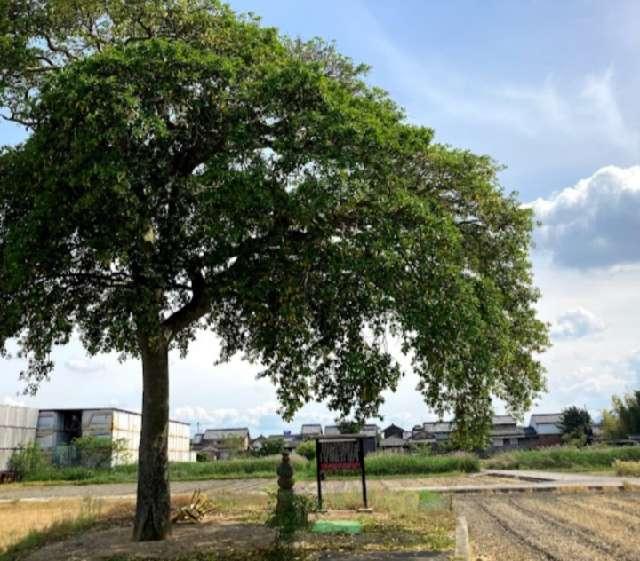 奈良県生駒郡安堵町窪田310 馬場塚の写真2