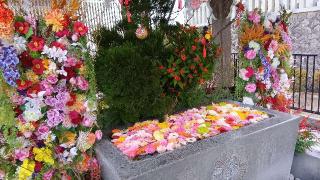 金蛇辨財天（金蛇水神社境内社）の参拝記録(ひろ神社仏閣さん)