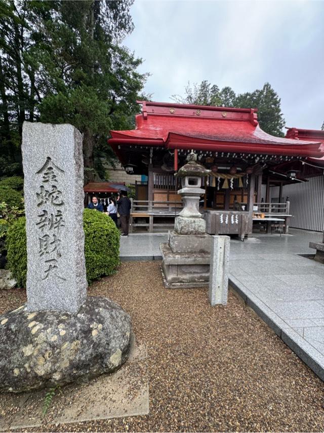 金蛇辨財天（金蛇水神社境内社）の参拝記録8