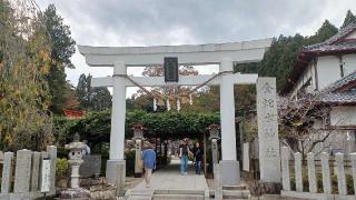 金蛇辨財天（金蛇水神社境内社）の参拝記録(SFUKUさん)