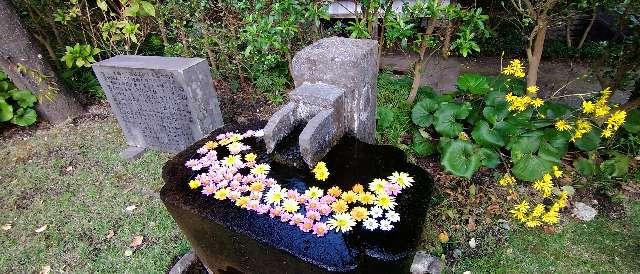 鹿児島県鹿児島市吉野町 猫神社の写真2