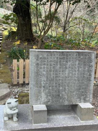 猫神社の参拝記録(ほちさん)