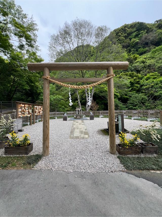 猫神社の参拝記録3