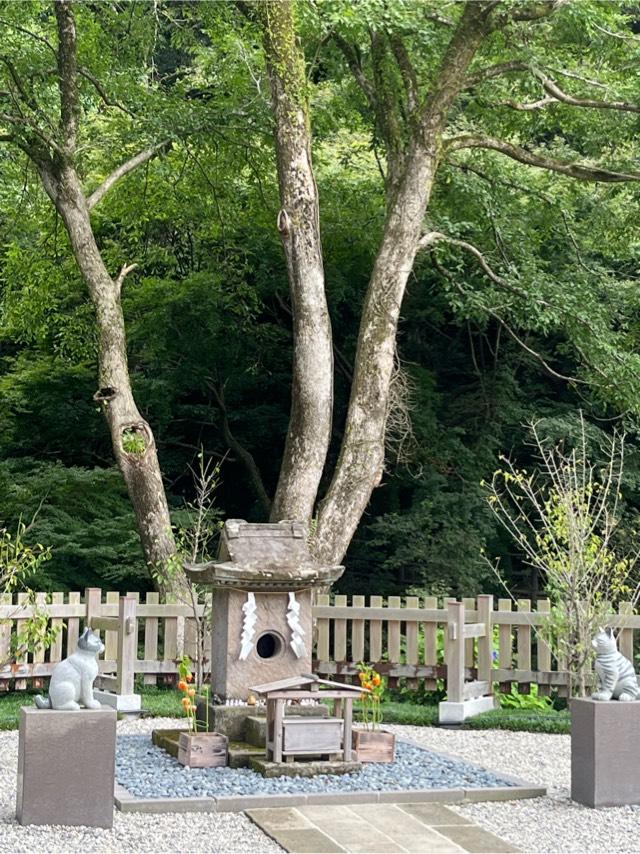 猫神社の参拝記録4