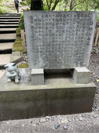 猫神社の参拝記録(りんさん)