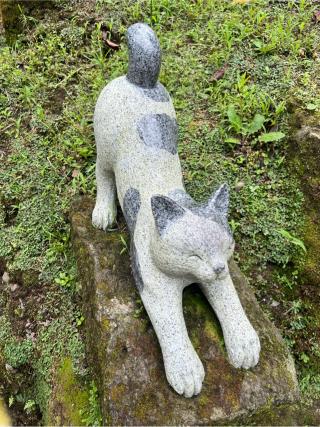 猫神社の参拝記録(りんさん)