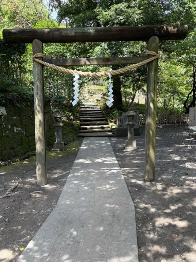 猫神社の参拝記録5