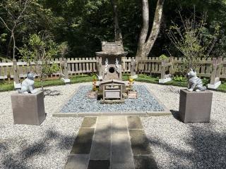 猫神社の参拝記録(Takeru Yamatoさん)