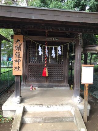 九頭龍神社の参拝記録(こーちんさん)