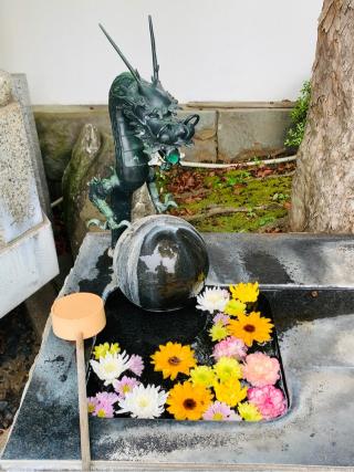 大樂寺の参拝記録(SUPRAさん)