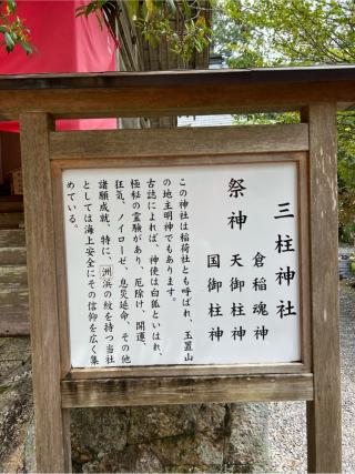 三柱神社の参拝記録(⛩️🎠🐢まめ🐢🎠⛩️さん)