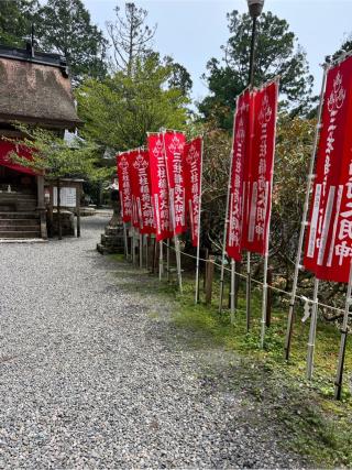 三柱神社の参拝記録(⛩️🎠🐢まめ🐢🎠⛩️さん)
