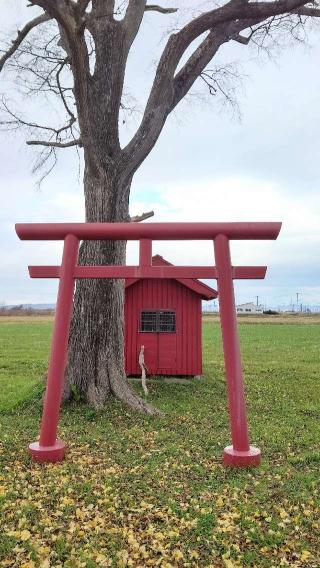 小藤神社の参拝記録(ひろちゃんさん)