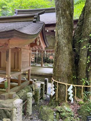 鈴市社(貴船神社末社)の参拝記録(⛩️🐉🐢まめ🐢🐉⛩️さん)