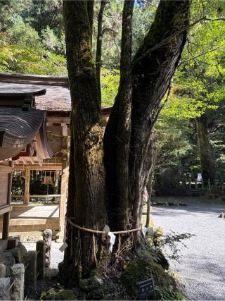 鈴市社(貴船神社末社)の参拝記録(⛩️🎠🐢まめ🐢🎠⛩️さん)