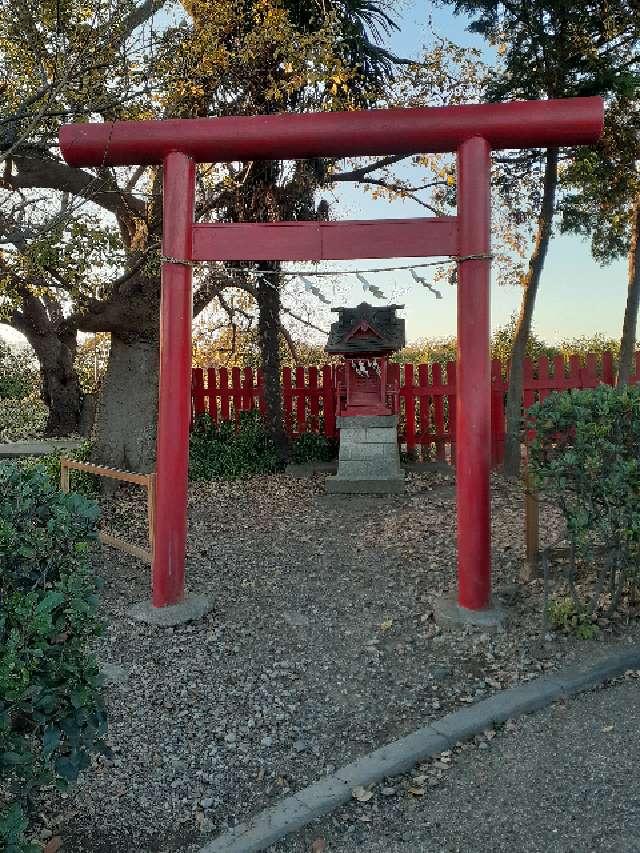 大藪稲荷神社の参拝記録(三毛猫さん)