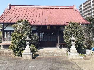 智音神社の参拝記録(三毛猫さん)