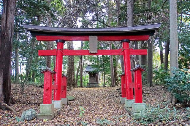 埼玉県さいたま市緑区大崎1820付近 諏訪社の写真1