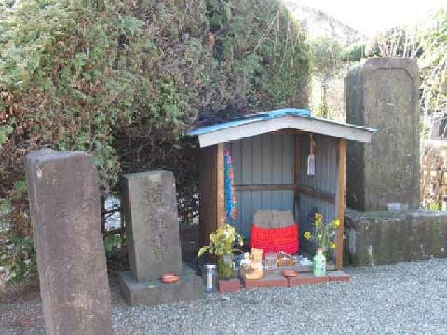 神奈川県海老名市上今泉6-20 護王姫の碑・六丁目の道祖神(No69)・馬頭観世音(No18～20,22)の写真1