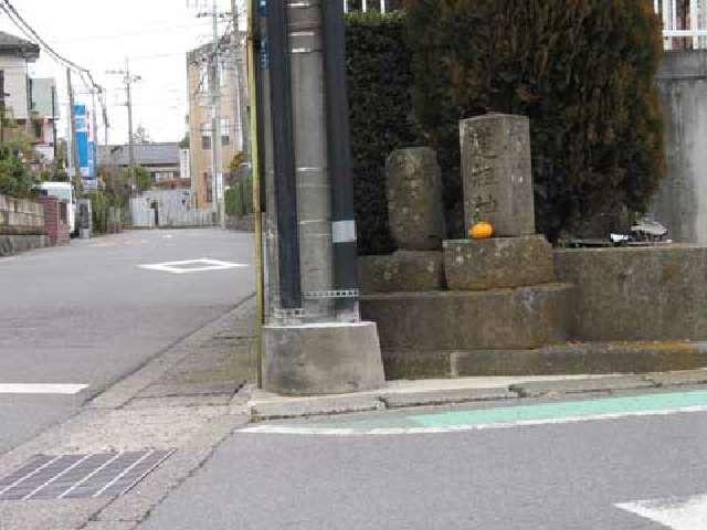 神奈川県海老名市勝瀬6-29付近 勝瀬南の道祖神(No77,78)の写真1