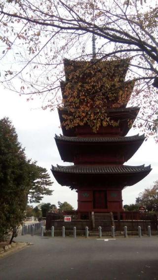 池上本門寺（長栄山大国院本門寺）の参拝記録(もーりーさん)