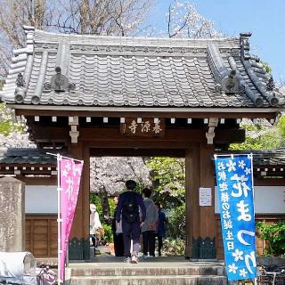 養源寺の参拝記録(めぐみさん)