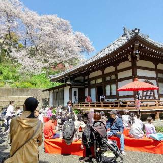 長荘山 養源寺の参拝記録(めぐみさん)