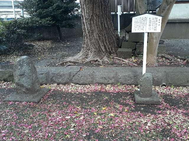 神奈川県厚木市上依知1 溝野の道祖神(No78)　依知神社境内の写真1